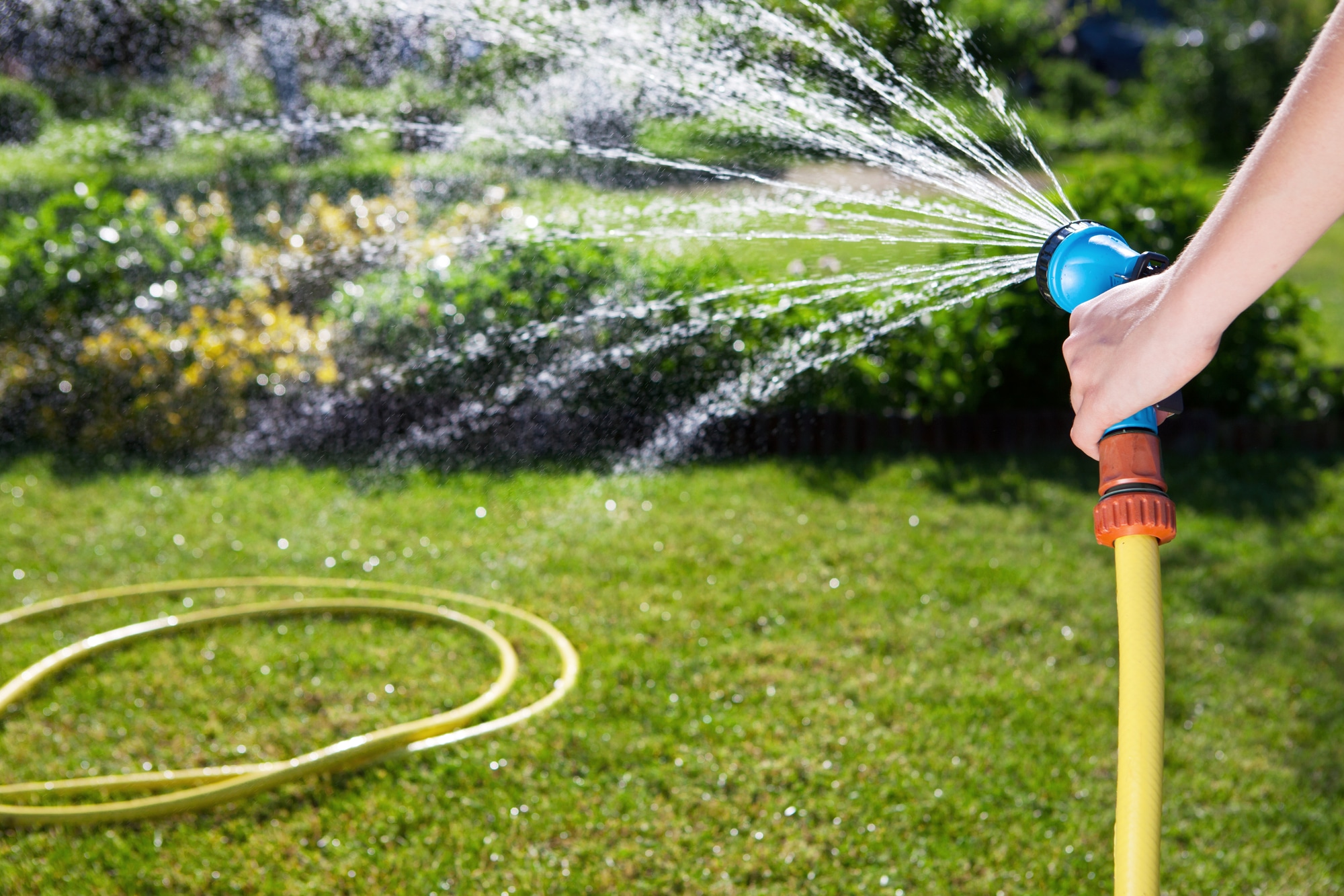 What Is the Best Garden Hose on the Market? 