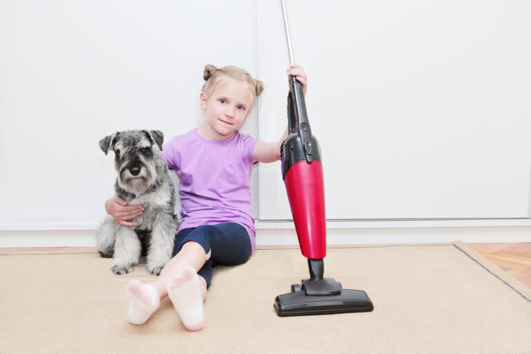 Best Cordless Vacuum for Pet Hair