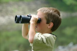 best binoculars