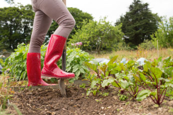 gardening with red wellies