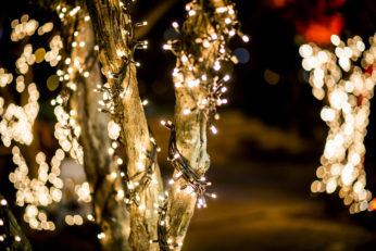 festive illumination