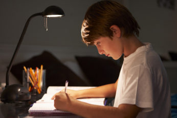 a boy studying
