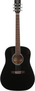Stretton Payne Dreadnought Package D1