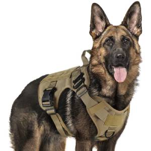 Rabbitgoo Tactical Vest